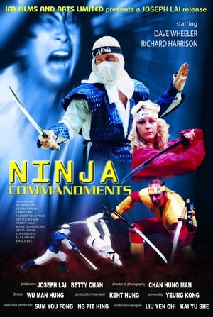 Image Ninja Commandments