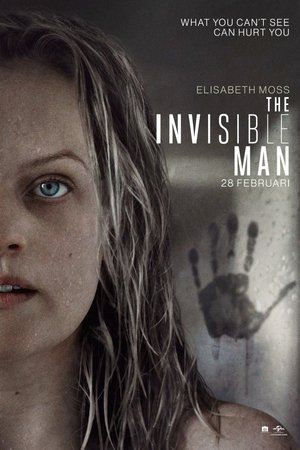 Image The Invisible Man