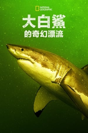 Image 大白鲨的奇幻漂流