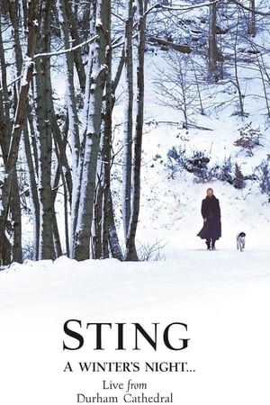 Image Sting: A Winter's Night