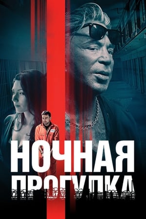 Ночная прогулка 2019