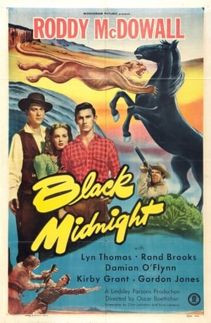 Poster Black Midnight 1949