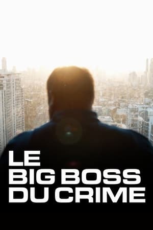 Image The Big Boss: A 21st Century Criminal