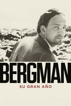 Image Bergman. Su gran año