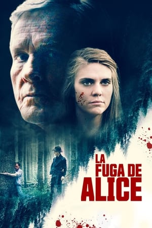 Poster Alice Fades Away 2021