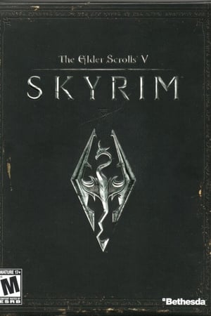 Image Behind the Wall: The Making of Skyrim