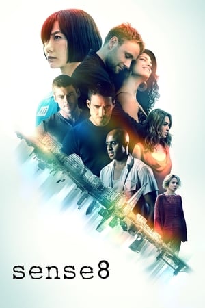 Image Sense 8