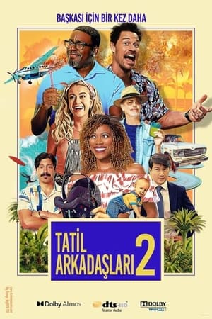 Poster Tatil Arkadaşları 2 2023