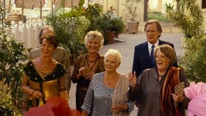 The Best Exotic Marigold Hotel (2011)