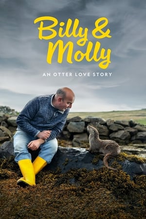 Image Billy & Molly: An Otter Love Story