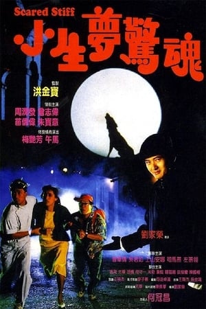 小生夢驚魂 1987