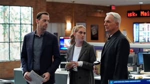 NCIS Season 18 :Episode 9  Winter Chill