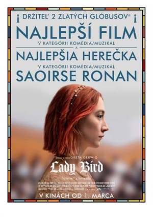 Lady Bird 2017