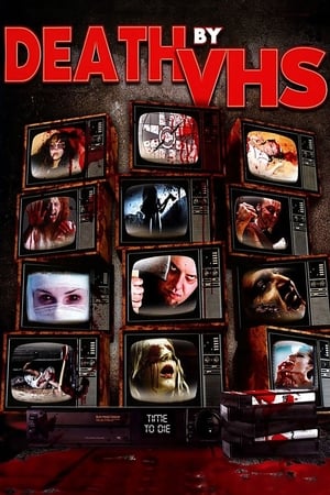Poster Death by VHS 2013