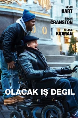 Image Olacak İş Değil