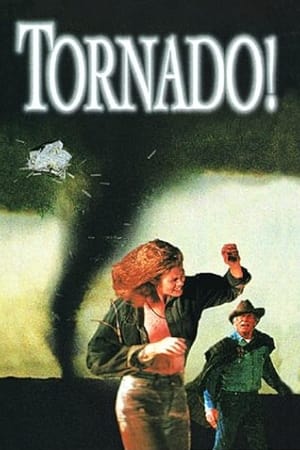 Poster Tornado! 1996