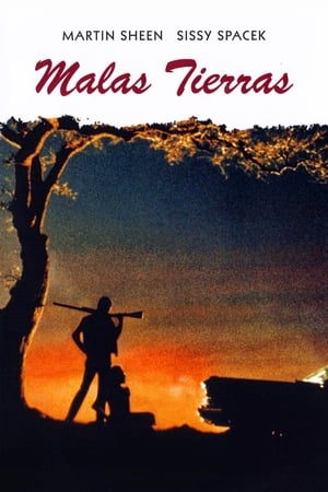 Poster Malas tierras 1974