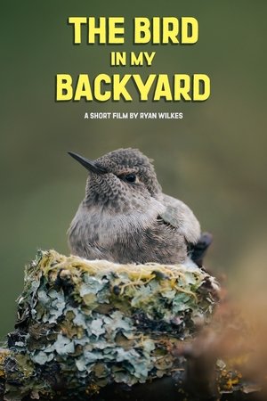 The Bird in My Backyard (2025)