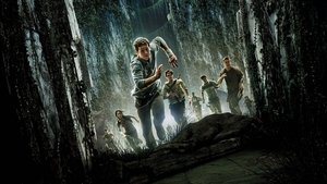 Images posters