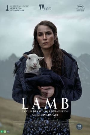 Image Lamb