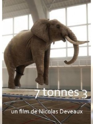 7 Tonnes 2 2004