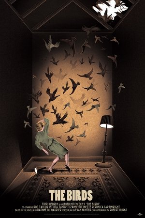 <Images posters