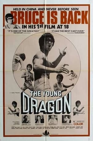 Poster Young Dragon 1979