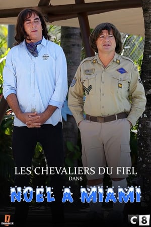 Poster Les Chevaliers Du Fiel : Noël à Miami 2017