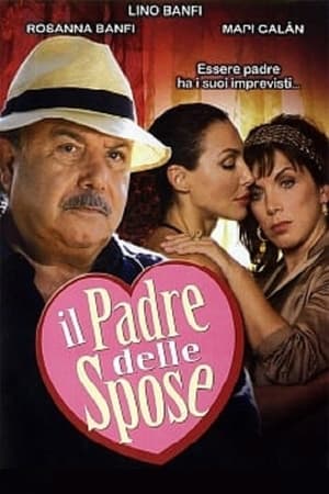 Il padre delle spose 2006