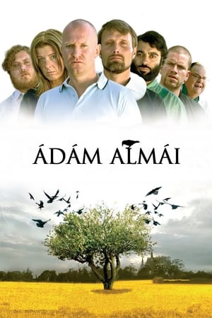Poster Ádám almái 2005