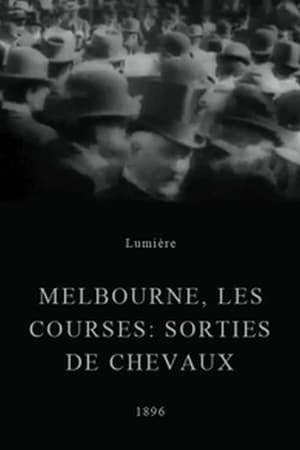 Image Melbourne, les courses : sorties des chevaux