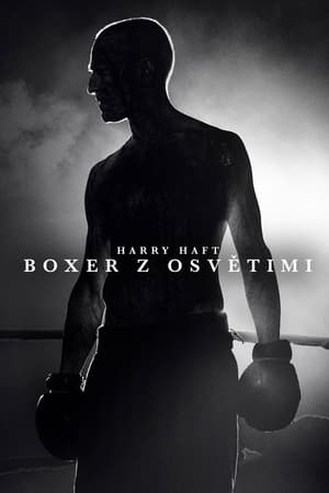 Image Harry Haft: Boxer z Osvětimi
