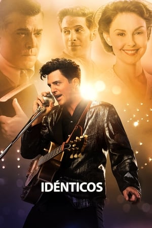 Poster Idénticos 2014