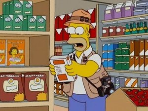 The Simpsons Season 18 Episode 16