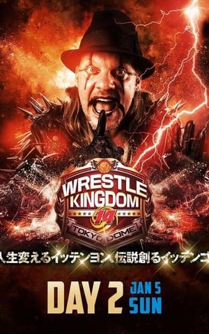 Image NJPW Wrestle Kingdom 14: Night 2