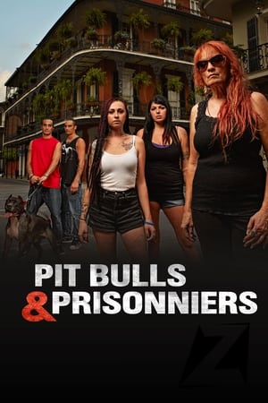 Image Pitbulls et prisonniers