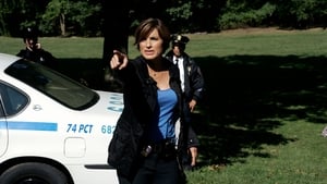Law & Order: Special Victims Unit Season 9 :Episode 7  Blinded