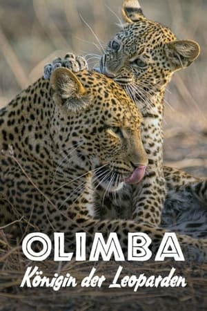 Image Olimba, Königin der Leoparden