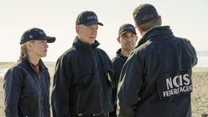 NCIS Season 17 :Episode 12  Flight Plan