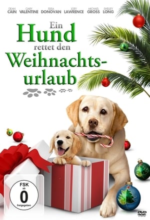 Ein Hund rettet den Weihnachtsurlaub 2012