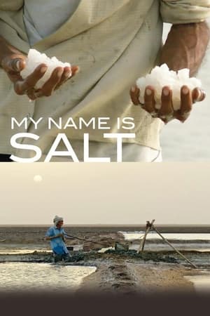 Poster My Name Is Salt 2013