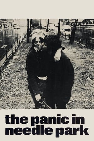 The Panic in Needle Park (1971)