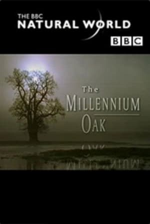 Télécharger The Millennium Oak ou regarder en streaming Torrent magnet 