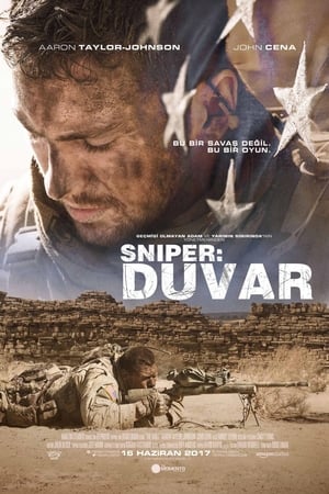 Poster Sniper: Duvar 2017