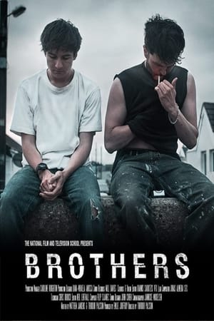 Image Brothers