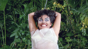 Six She's and a He (1963)