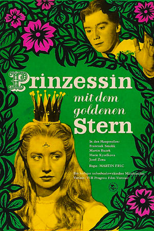 Image Die Prinzessin mit dem goldenen Stern