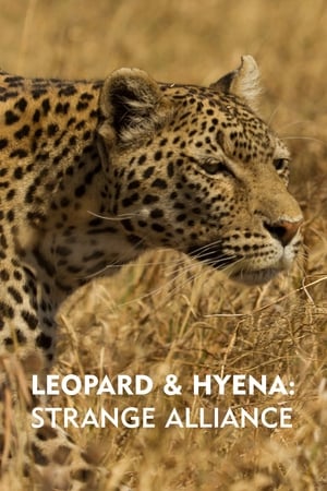Image Leopard & Hyena: Strange Alliance