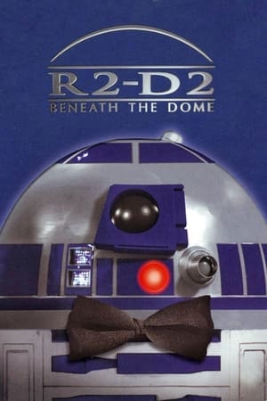Poster R2-D2: Beneath the Dome 2001