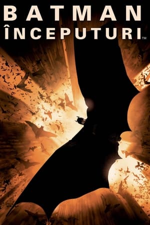 Poster Batman - Începuturi 2005